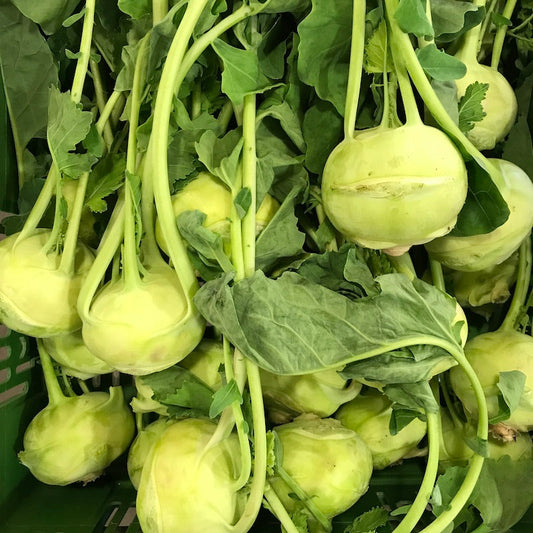 Kohlrabi