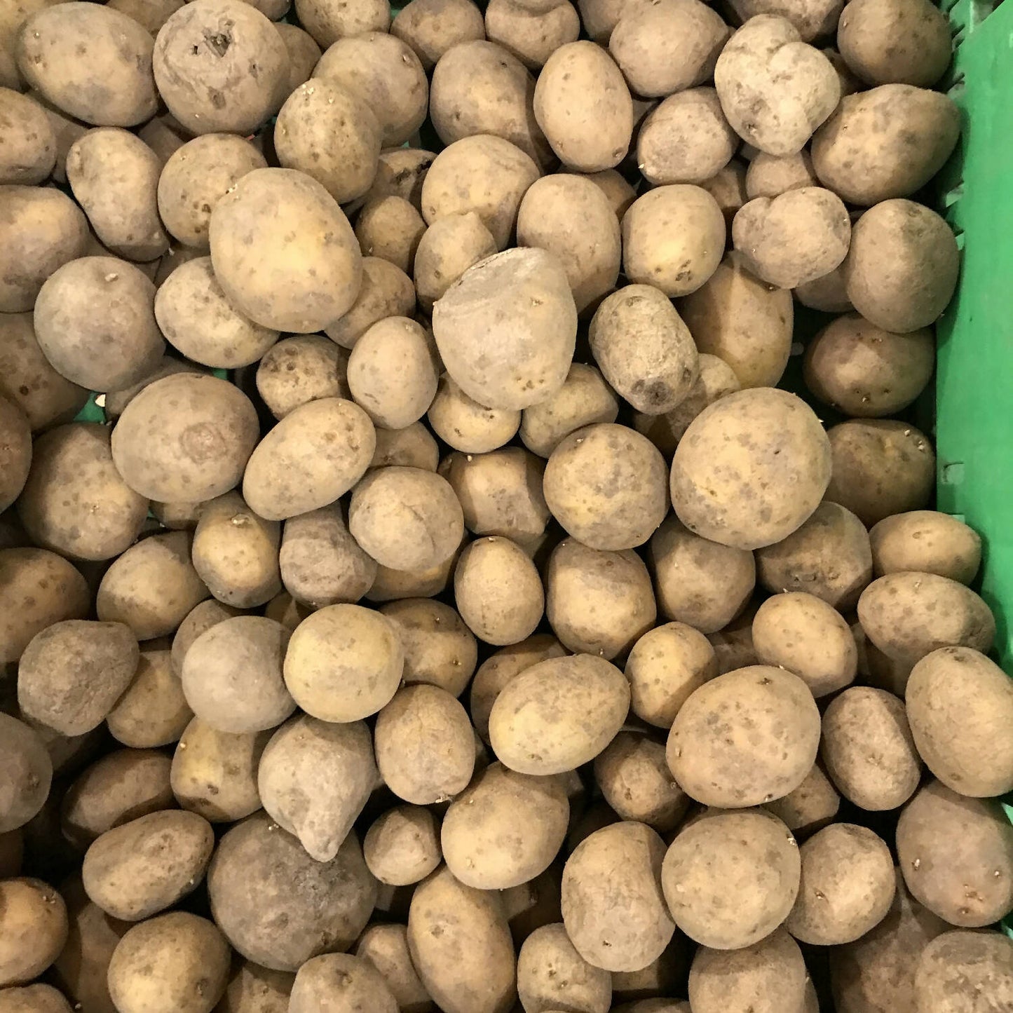 Kartoffeln 2,5kg Sack mehligkochend