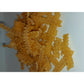 Dinkelnudeln Typ Wellenband 500g