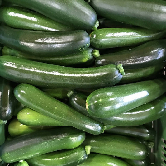 Zucchini